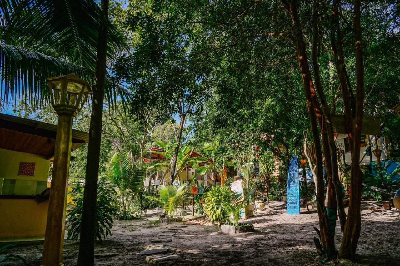 Macaco Surf Hostel Praia de Pipa Extérieur photo