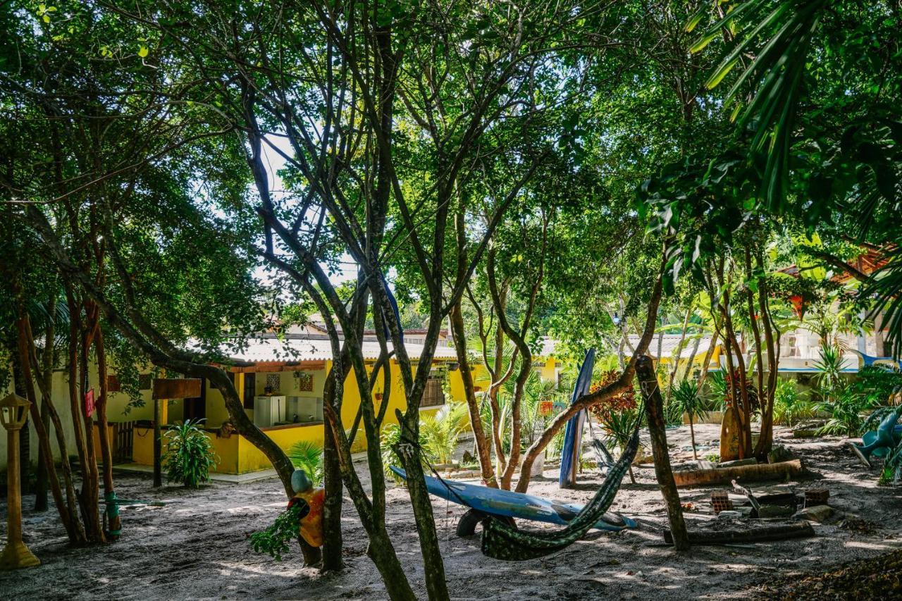 Macaco Surf Hostel Praia de Pipa Extérieur photo